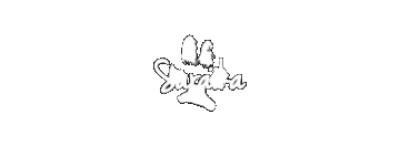Saraika